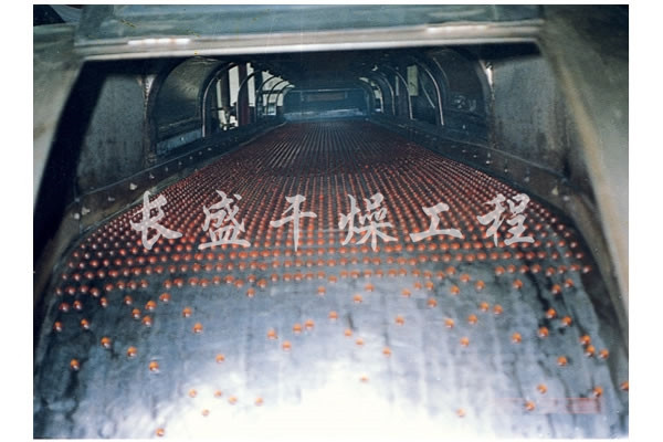 RL系列熔融造粒機(jī)